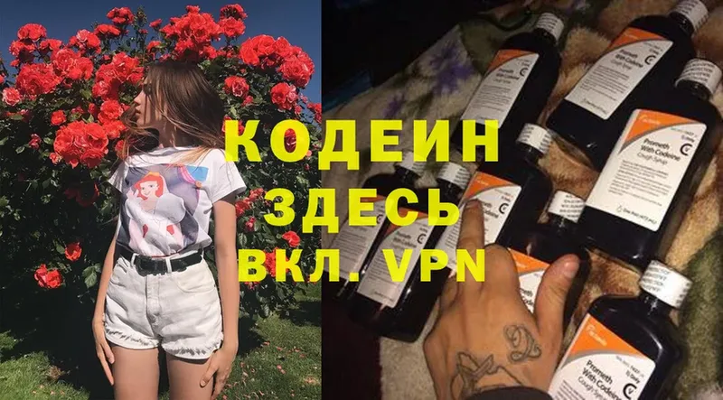 магазин продажи   Харовск  Codein Purple Drank 