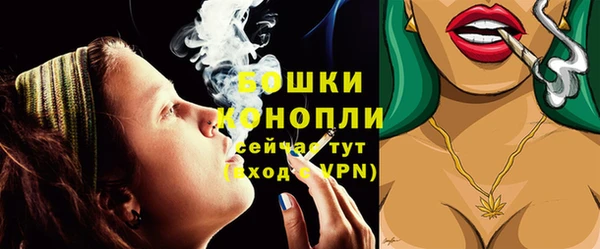 PSILOCYBIN Белокуриха